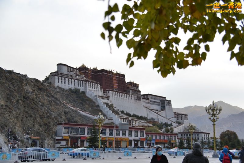 DSC_8418 [800x600].jpg