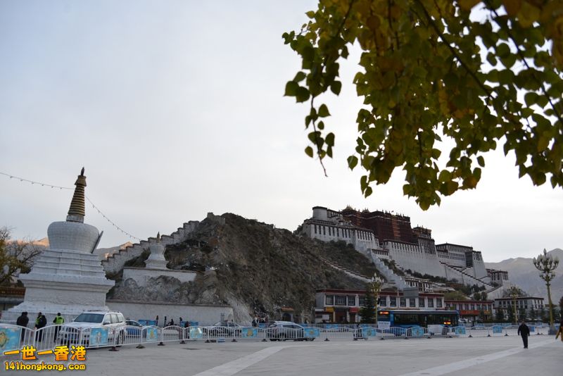 DSC_8419 [800x600].jpg