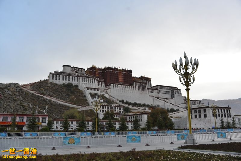 DSC_8421 [800x600].jpg