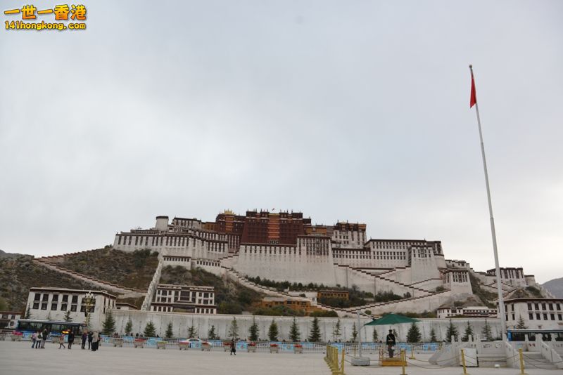 DSC_8422 [800x600].jpg