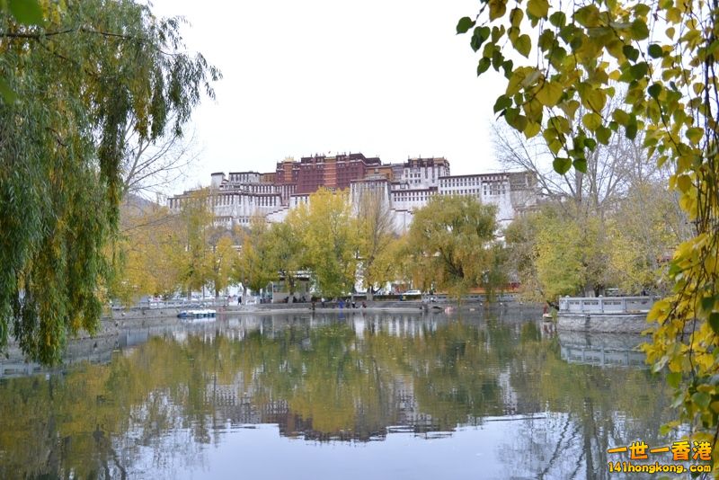 DSC_8426 [800x600] [800x600].jpg