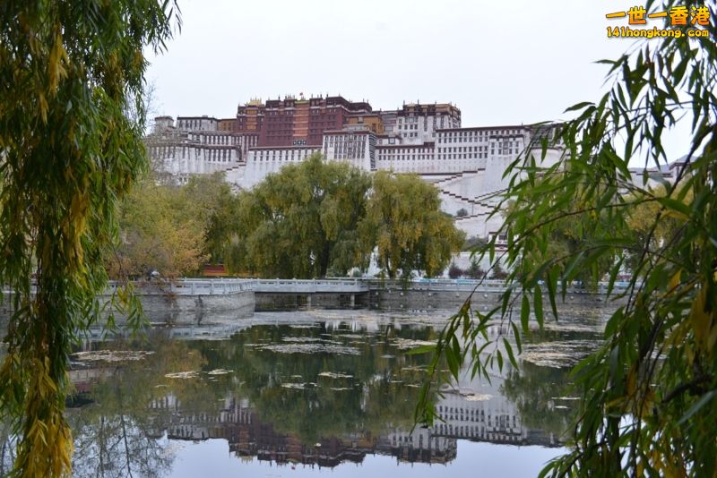 DSC_8429 [800x600] [800x600].jpg