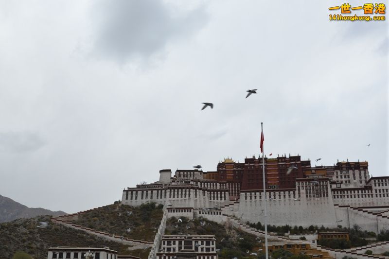 DSC_8435 [800x600].jpg