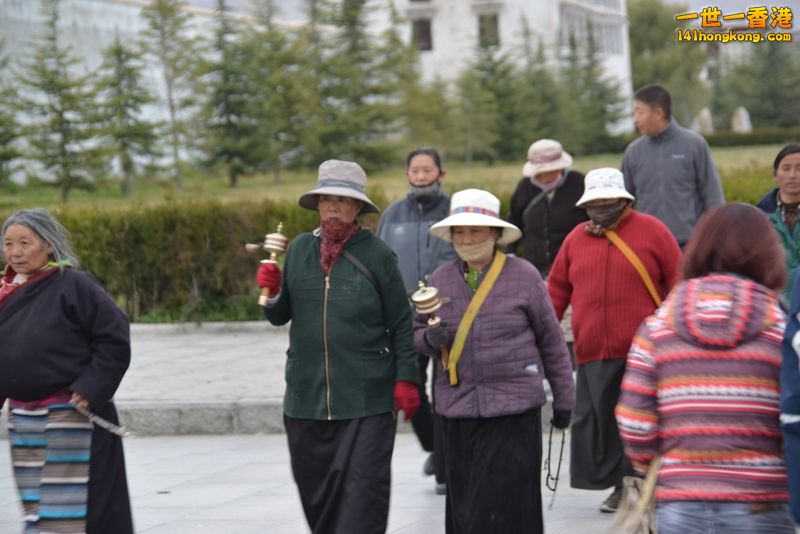 DSC_8446 [800x600].jpg