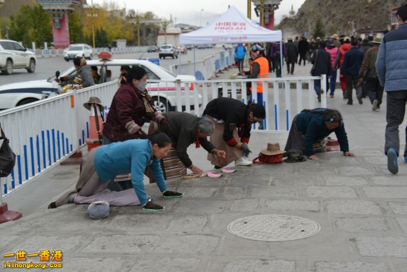 DSC_8447 [800x600].jpg