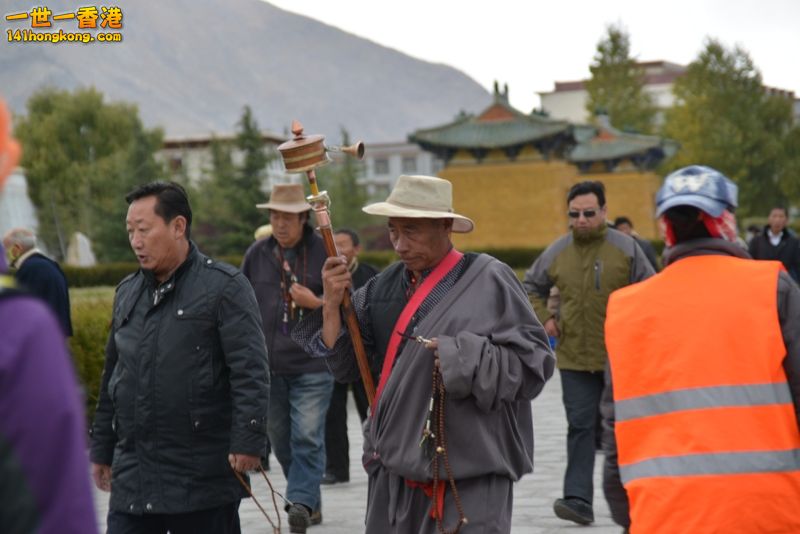 DSC_8451 [800x600].jpg