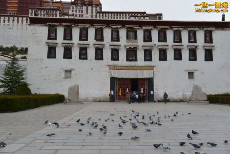 DSC_8452 [800x600].jpg