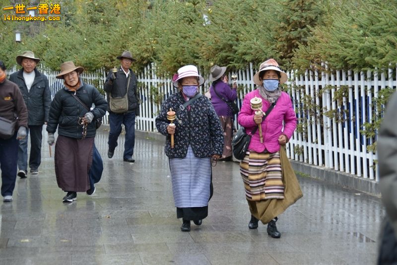 DSC_8518 [800x600] [800x600].jpg