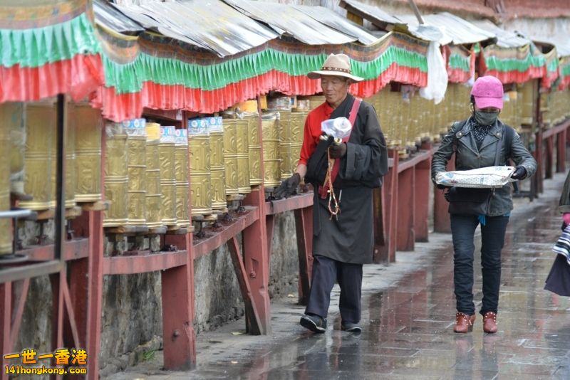 DSC_8519 [800x600] [800x600].jpg