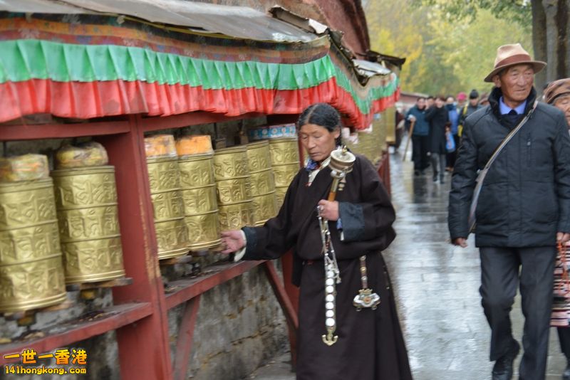 DSC_8520 [800x600].jpg