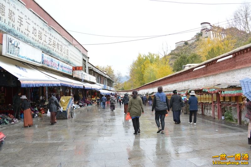 DSC_8529 [800x600] [800x600].jpg