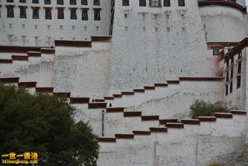 DSC_8454 [800x600] [800x600].jpg