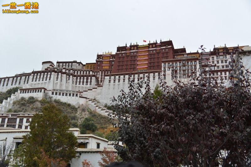 DSC_8455 [800x600] [800x600].jpg