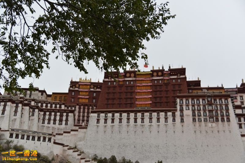 DSC_8456 [800x600] [800x600].jpg