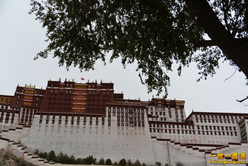 DSC_8457 [800x600] [800x600].jpg