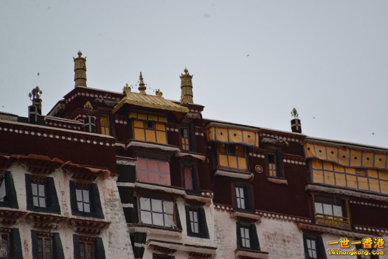 DSC_8459 [800x600].jpg