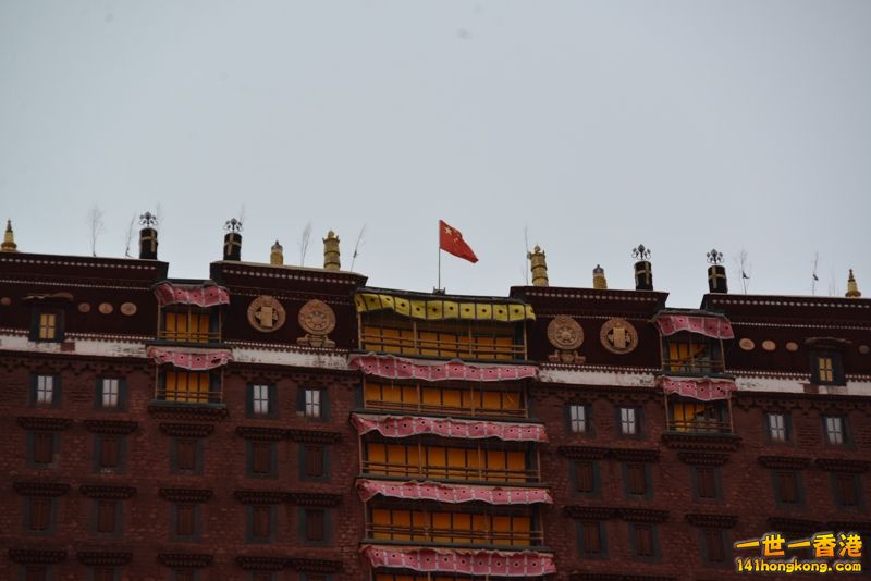 DSC_8460 [800x600].jpg