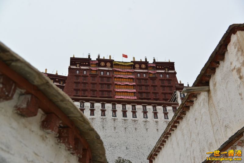 DSC_8462 [800x600].jpg