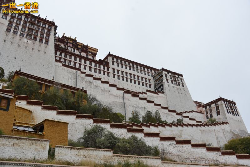 DSC_8465 [800x600].jpg