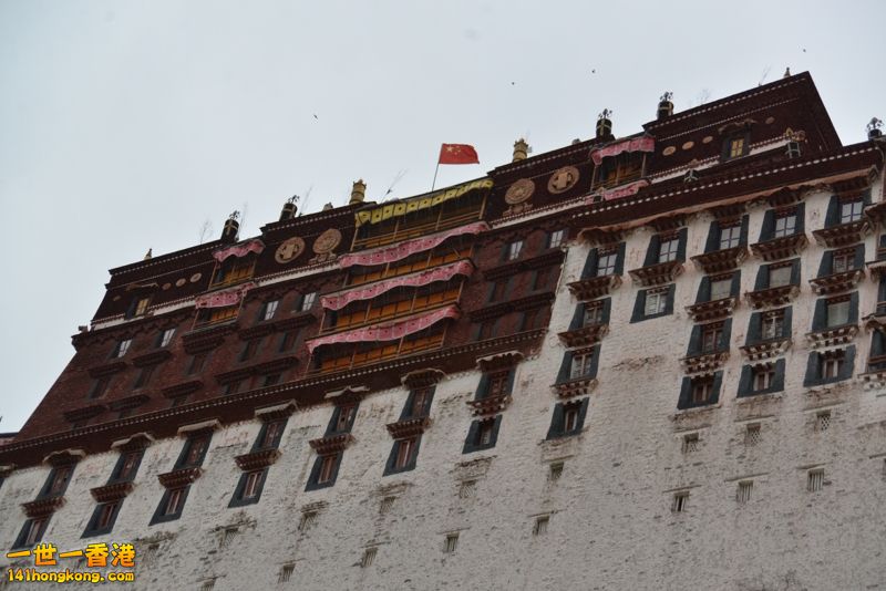 DSC_8467 [800x600].jpg