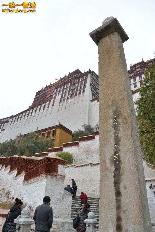 DSC_8468 [800x600].jpg