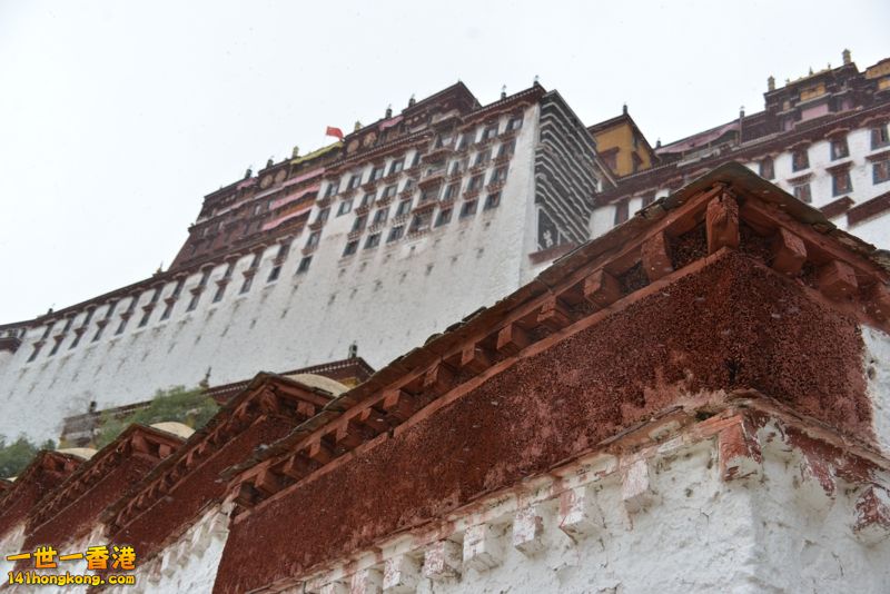 DSC_8469 [800x600].jpg