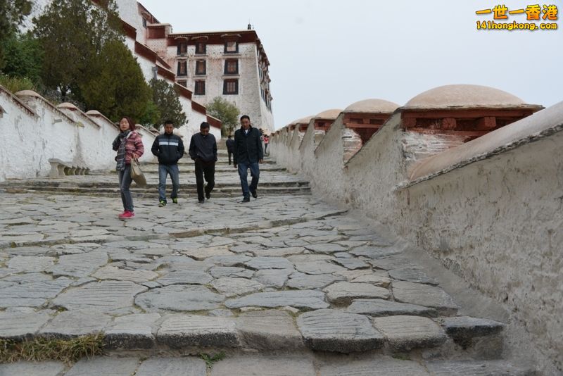 DSC_8471 [800x600] [800x600].jpg