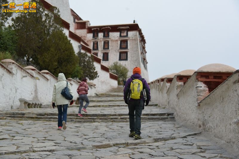 DSC_8472 [800x600].jpg