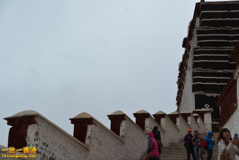 DSC_8476 [800x600].jpg