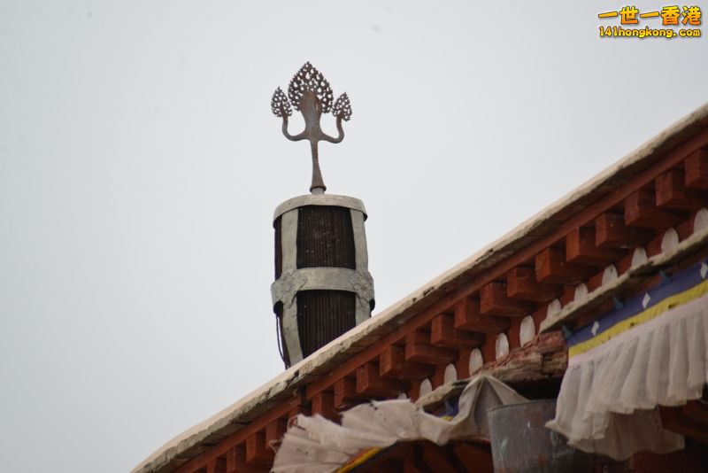 DSC_8487 [800x600].jpg