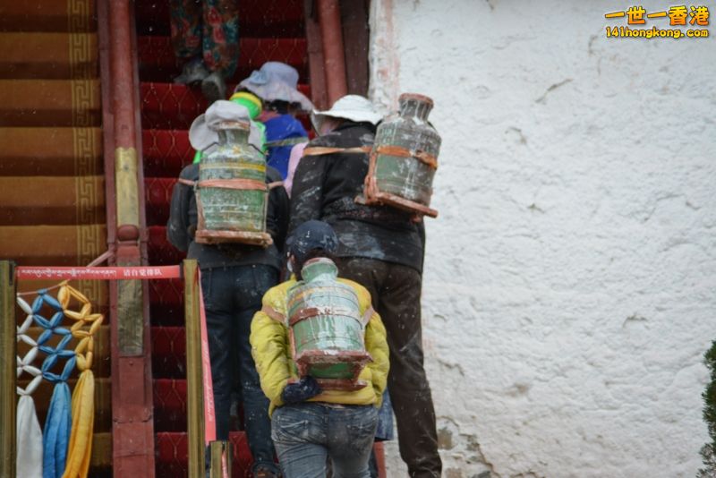 DSC_8491 [800x600].jpg