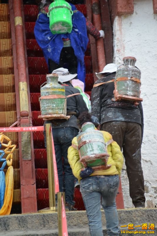 DSC_8492 [800x600] [800x600].jpg