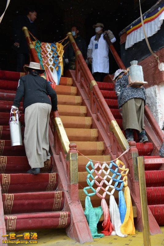 DSC_8493 [800x600] [800x600].jpg