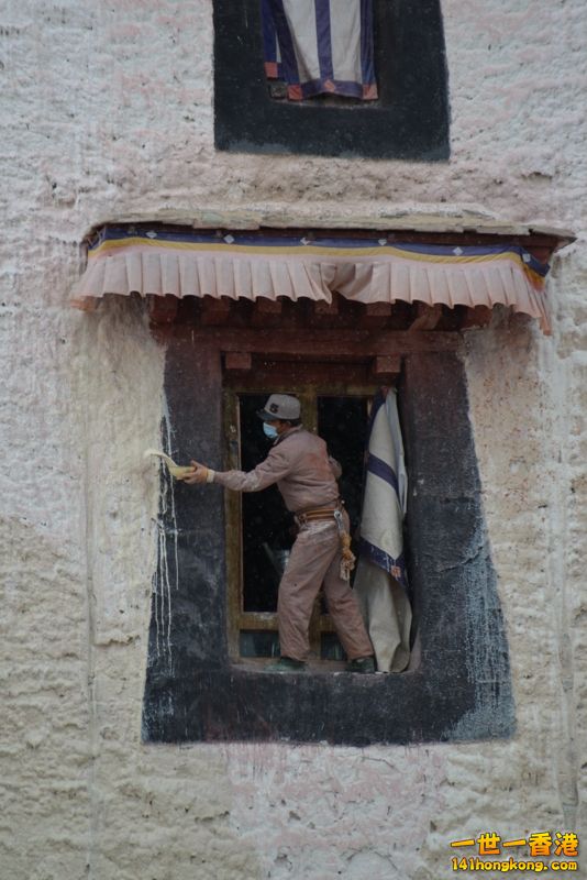 DSC_8501 [800x600].jpg