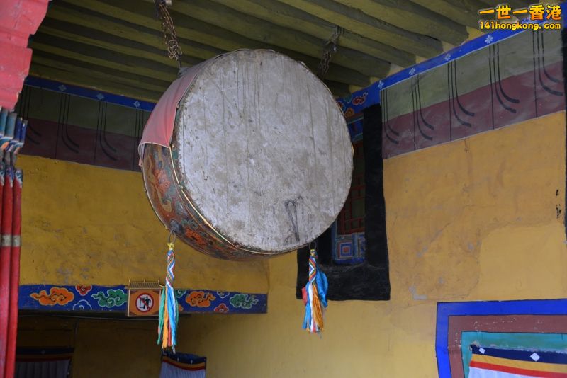 DSC_8502 [800x600].jpg