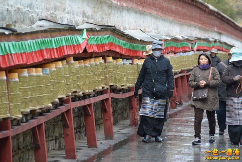 DSC_8514 [800x600] [800x600].jpg