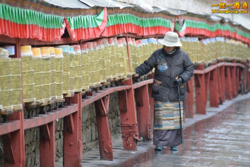 DSC_8516 [800x600].jpg