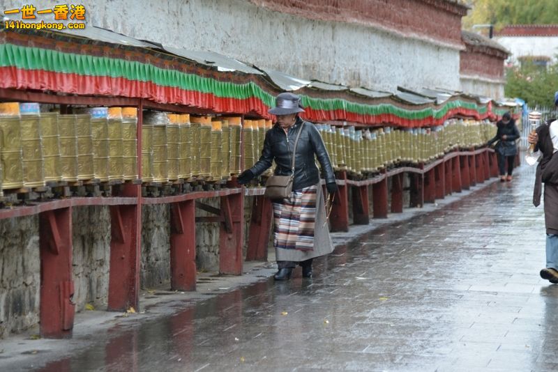 DSC_8517 [800x600] [800x600].jpg