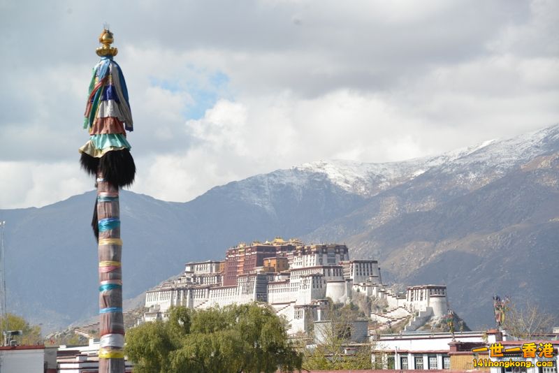 DSC_8600 [800x600].jpg