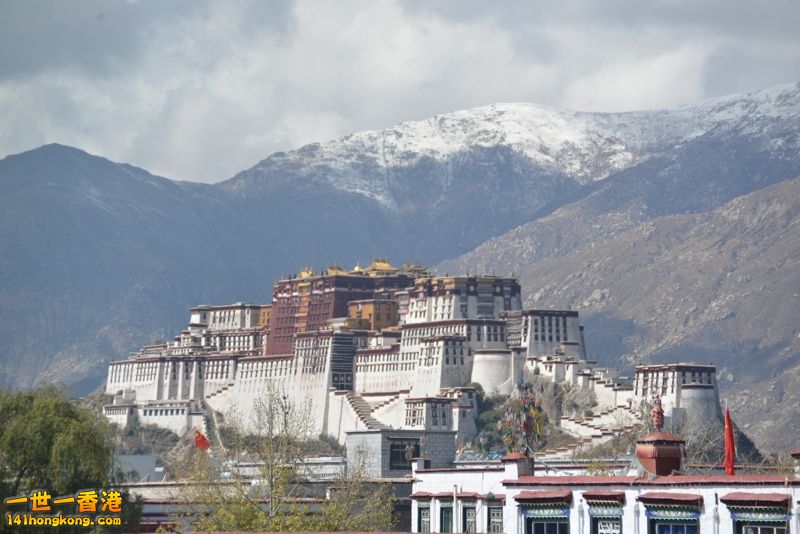 DSC_8588 [800x600].jpg