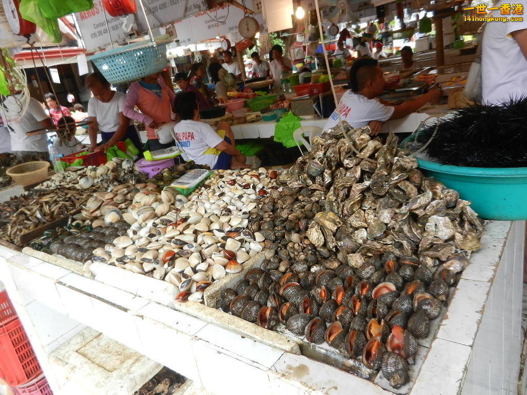 DSCN3837.JPG