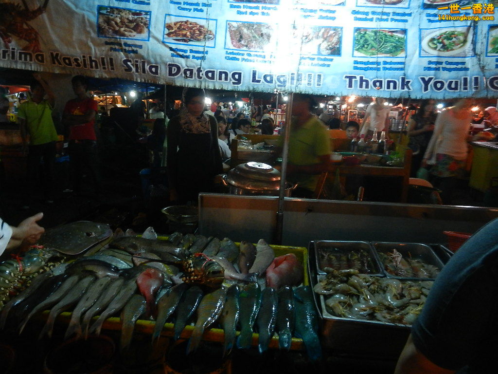 DSCN4236.JPG