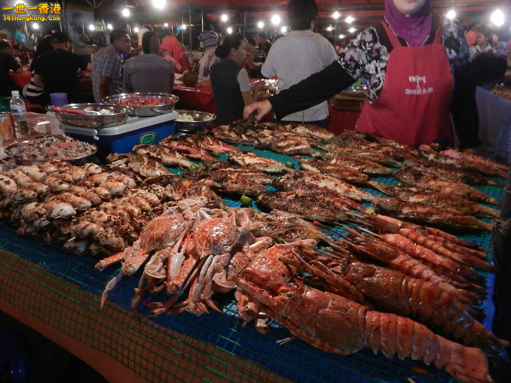 DSCN4238.JPG
