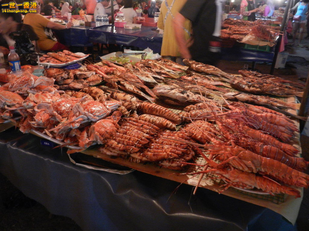 DSCN4239.JPG