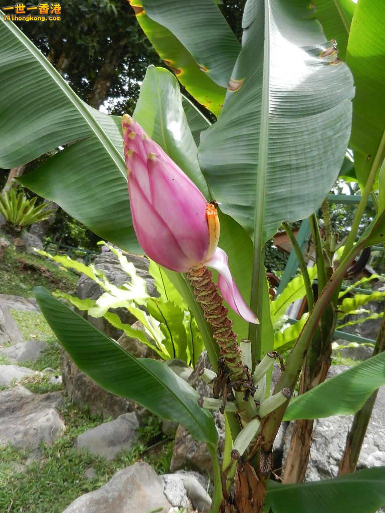 DSCN4322.JPG