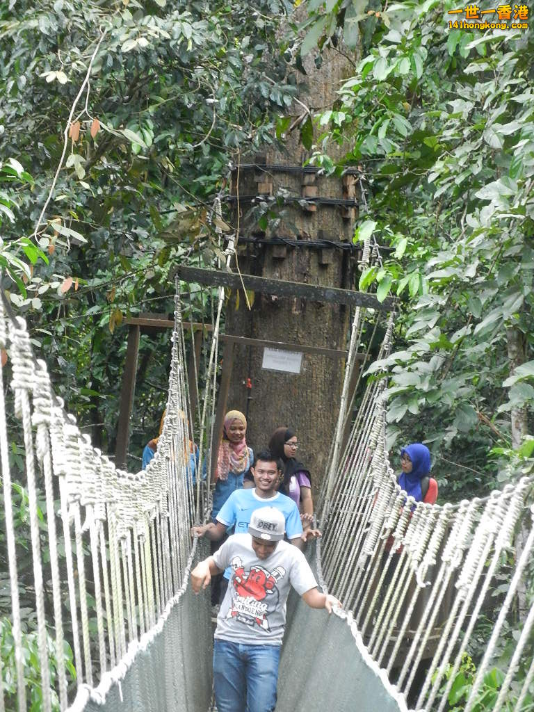 DSCN4374.JPG