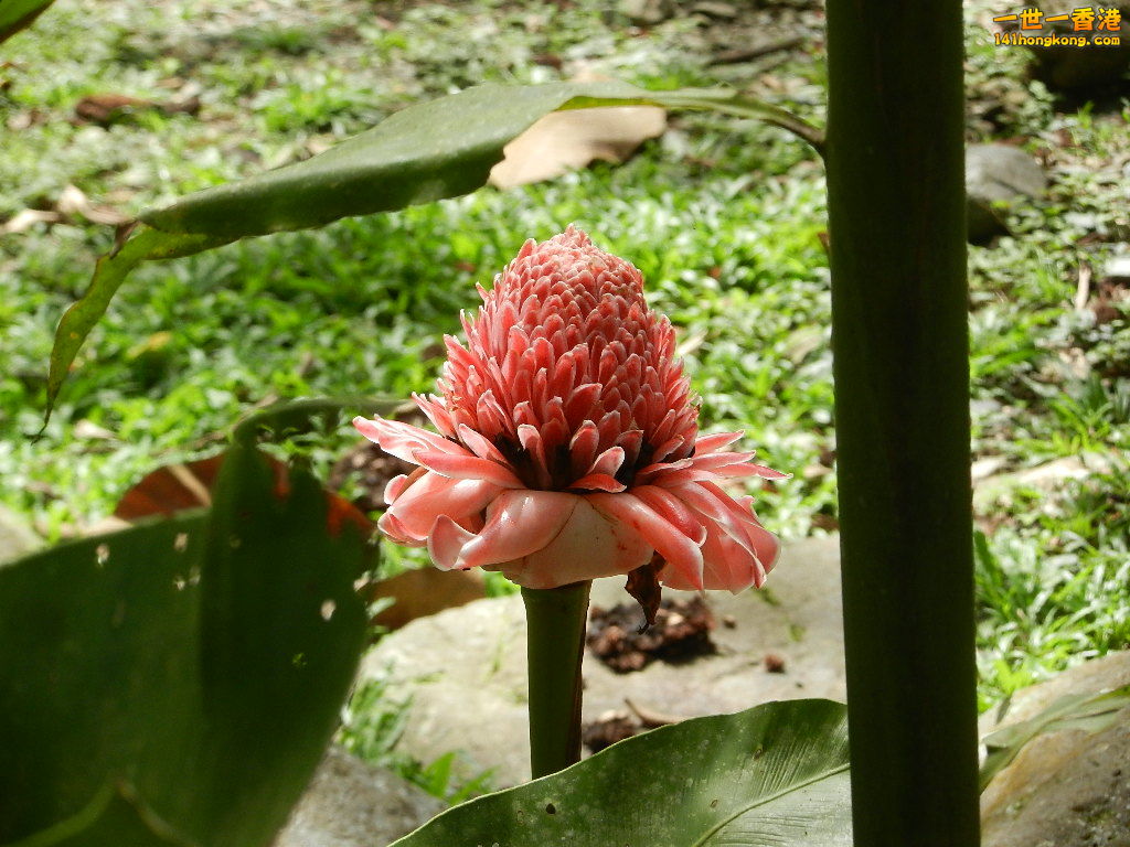 DSCN4383.JPG