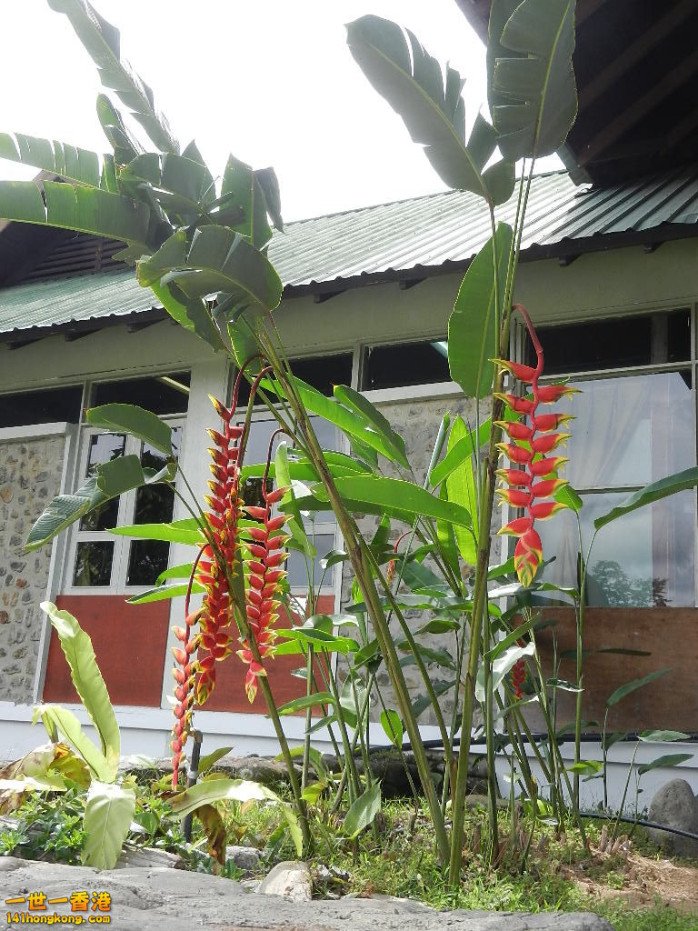 DSCN4384.JPG