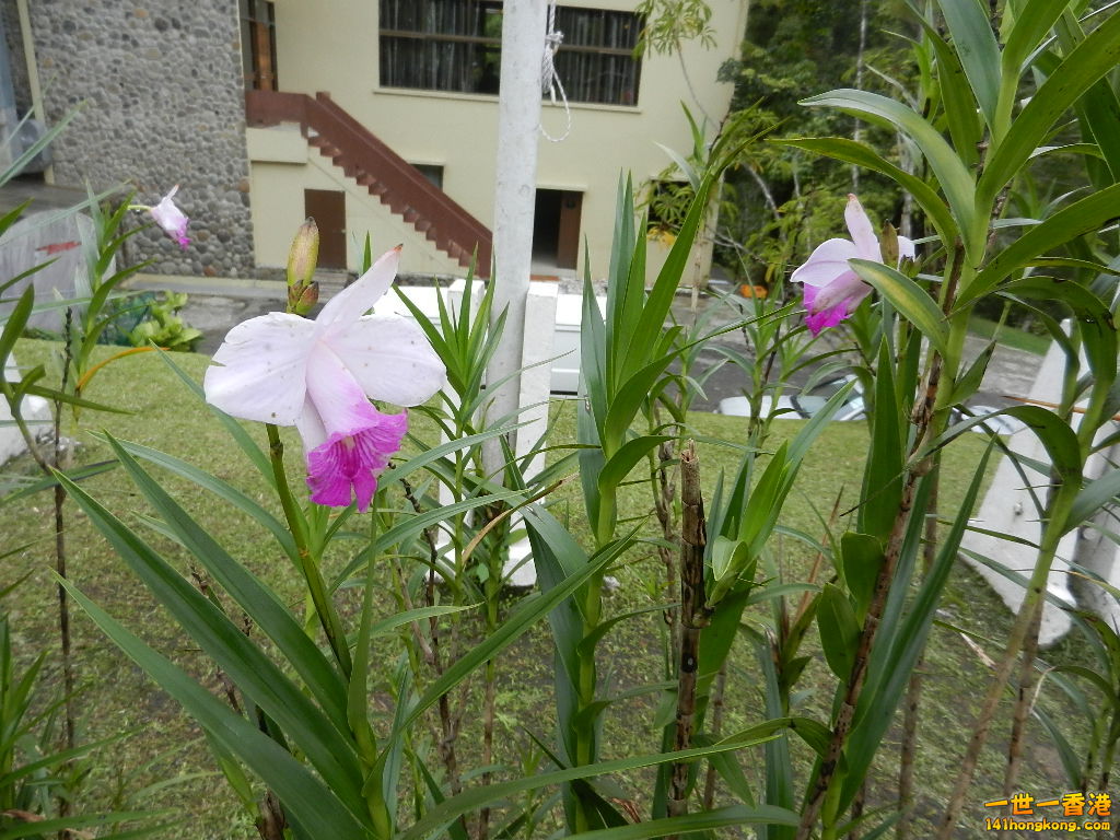 DSCN4392.JPG
