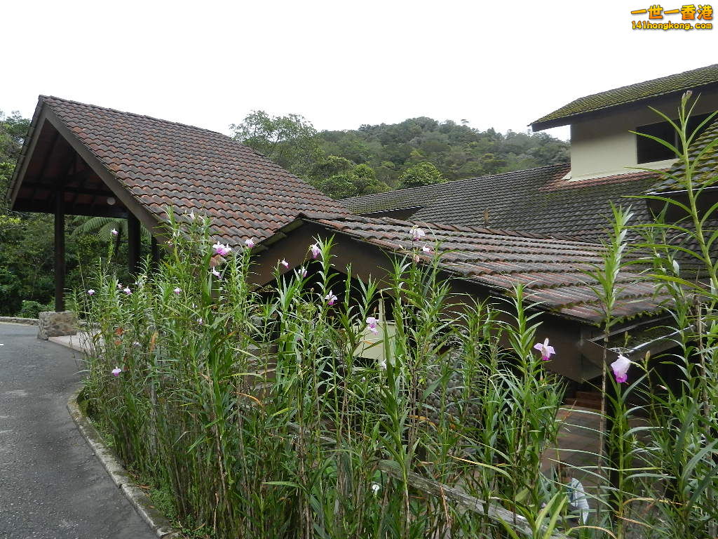 DSCN4395.JPG